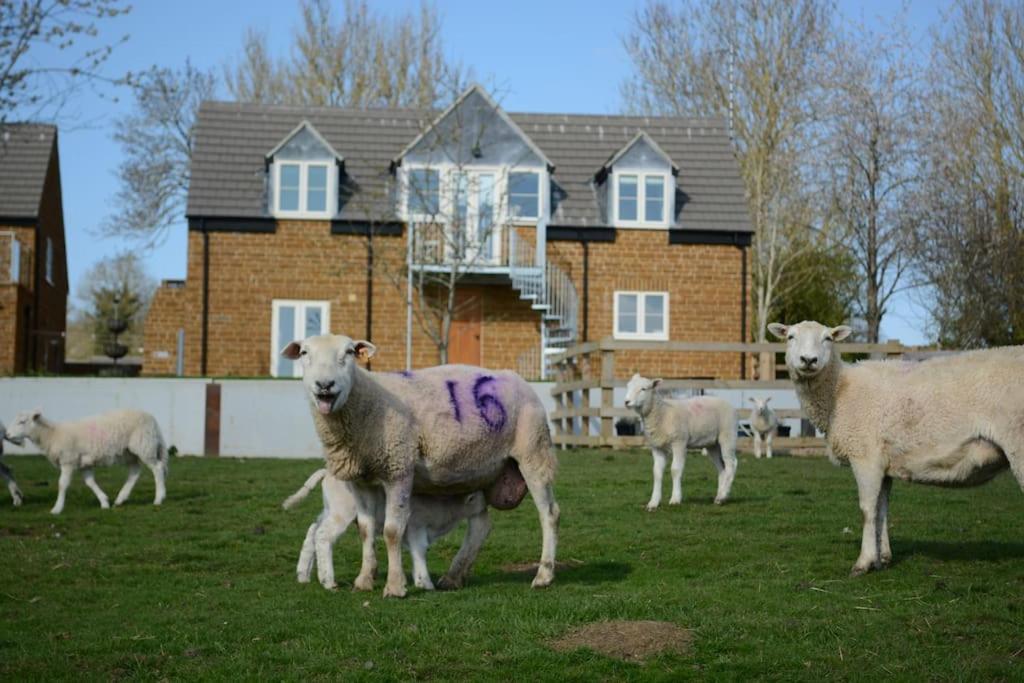 Field View Villa Braunston  Bagian luar foto