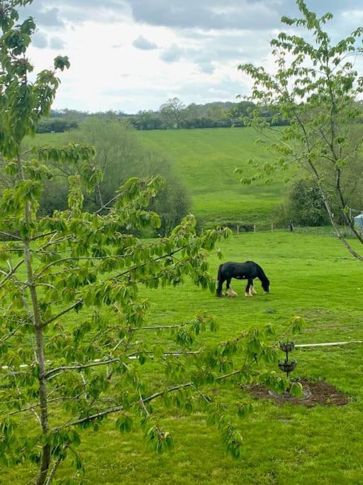 Field View Villa Braunston  Bagian luar foto